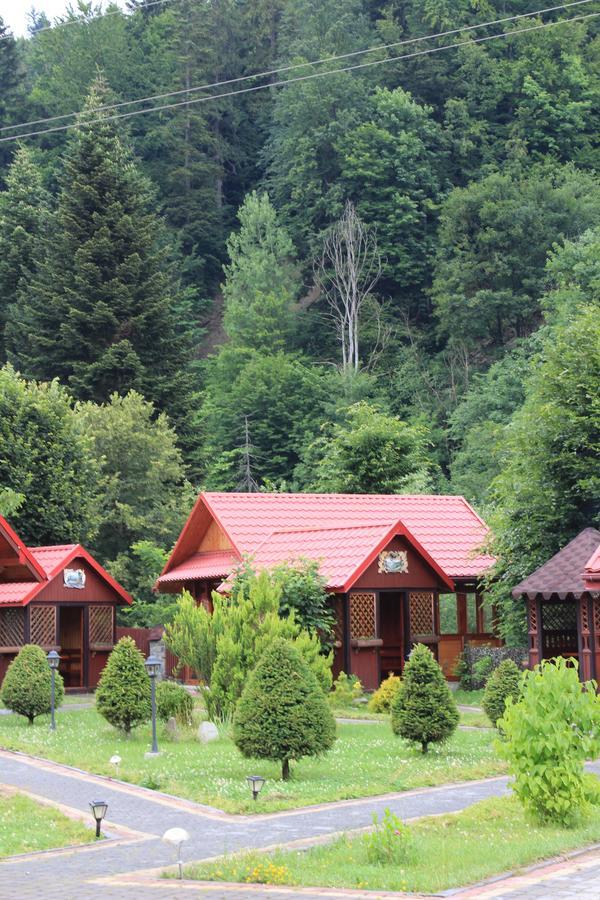 Sokolyne Gnizdo Hotel Korostov Exterior photo